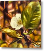 Pear Blossom Metal Print