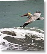 Pelican Flying Metal Print