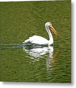Pelican Reflection On Lake Metal Print