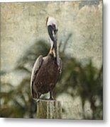 Pelican - Sitting Around Metal Print