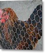 Penned Rooster Metal Print