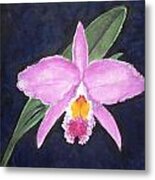 Penny's Orchid Metal Print