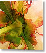 Peony Flirt Metal Print