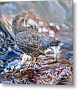 Perfect Camouflage Metal Print