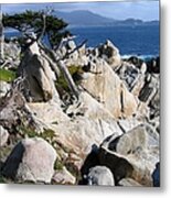 Pescadero Point Metal Print