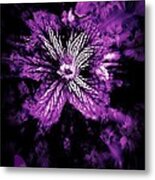 Petals From The Purple Metal Print