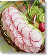 Picnic Sandwiches With Radishes Metal Print