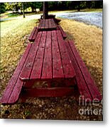 Picnic Tables In A Row Metal Print