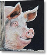 Piggy.  Sold Metal Print