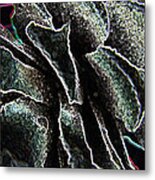 Pine Frost Metal Print