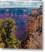 Pines And Cliffs At The Grand Canyon Metal Print