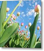 Pink And White Tulips 01 Metal Print