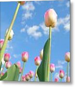 Pink And White Tulips 02 Metal Print