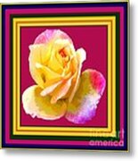 Pink And Yellow Rose Metal Print