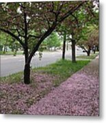 Pink Bloom Metal Print