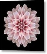 Pink Dahlia Flower Mandala Metal Print