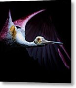 Pink Flight Metal Print