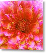 Pink Flower Metal Print