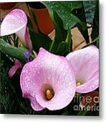 Pink Flower Metal Print