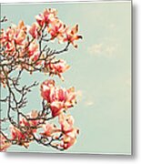 Pink Magnolia Flowers Against Blue Sky Metal Print