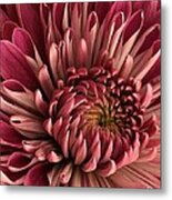 Pink Mum Metal Print