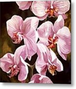 Pink Phalaenopiss Orchids Metal Print