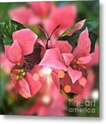 Pink Poinsettia Butterfly Metal Print