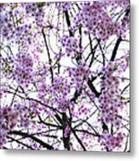 Pink Tree Blossom Metal Print