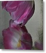 Pink Tulip Reflected In Silver Water Metal Print