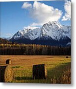 Pioneer Hay Fields Metal Print