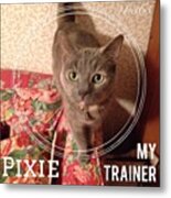 #pixie Is My Official #trainer While I Metal Print