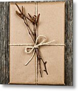 Plain Gift With Natural Decorations Metal Print