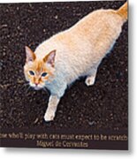 Playing With Cats Metal Print