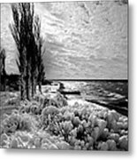 Point Betsie Winter Of '92 Metal Print