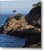 Point Lobos In The Morning Metal Print