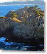 Point Lobos Number 9 Metal Print