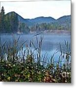 Pond Cattails Metal Print