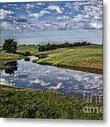 Pond Reflections Metal Print