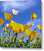 Poppies And Blue Arizona Sky Metal Print