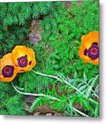 Poppies Blown To The Ground Metal Print