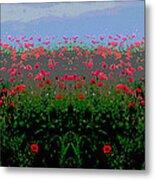 Poppies Field Metal Print