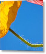 Poppies In The Sky Metal Print