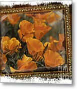 Poppies Metal Print