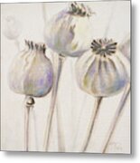 Poppy Seeds I Metal Print