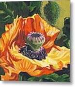 Poppy With Yellow Metal Print