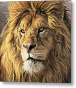 Portrait Of A Lion Metal Poster