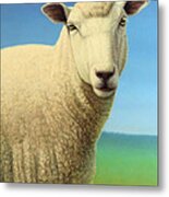 Portrait Of A Sheep Metal Print