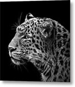 Portrait Of Leopard In Black And White Iii Metal Print