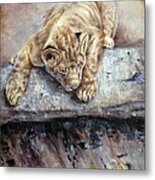 Pounce Metal Print