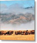Prairie Bison Metal Print